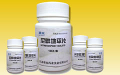 尼群地平片