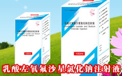 乳酸左氧氟沙星氯化钠注射液