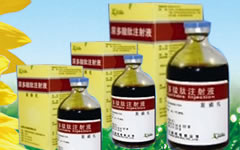 喜滴克（尿多酸肽注射液）