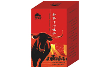 补肾十七味膏
