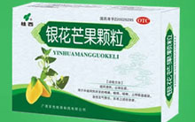 银花芒果颗粒