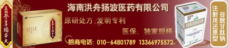 海南洪舟扬波医药有限公司