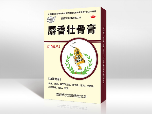湖北康源药业有限公司