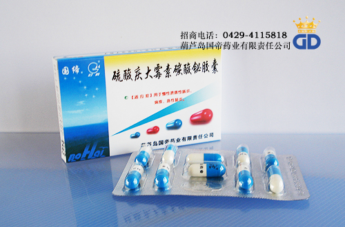 硫酸庆大霉素碳酸铋胶囊